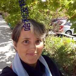 哈利波特同人小说 （故国）