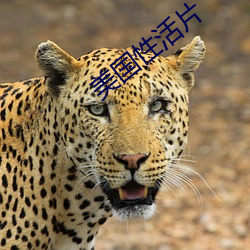 美(měi)国性活片(piàn)