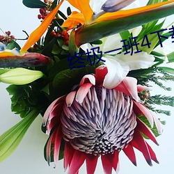 终极一班(班)4下载