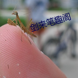 剑来笔趣阁