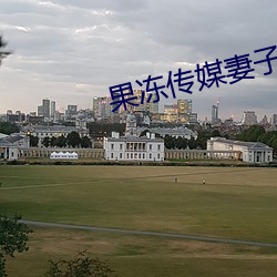 果冻传媒妻子的谎言