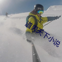 道(道)界天(天)下(下)小说