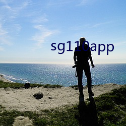 sg110app