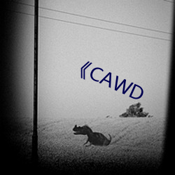 《CAWD