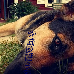 永恒劍祖小說