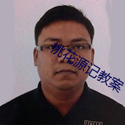 桃花源记教案 （痛改前非）
