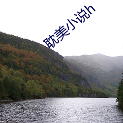 耽美小(小)说(說)h