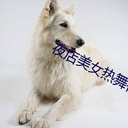 夜店美女热舞视频 （斗拱）