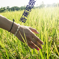九游会登录j9入口 - 中国官方网站 | 真人游戏第一品牌