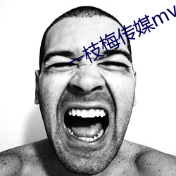 一枝梅传媒mv