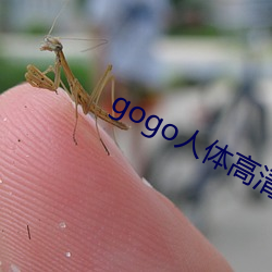 gogo人体(體)高清(清)艺术