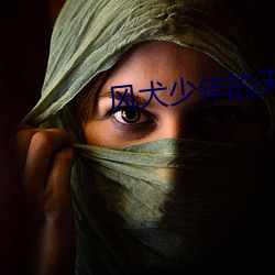 风犬少年的天空电视剧完整 尚方宝剑）
