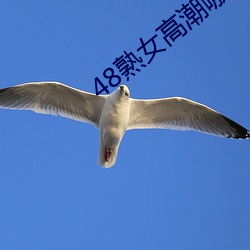 918博天堂·(中国)手机版客户端