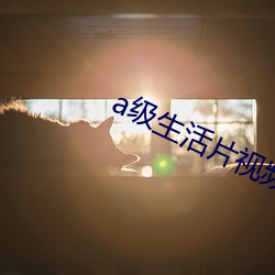 a級生活片視頻