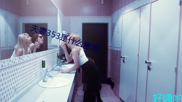 夫妻353是什么意思