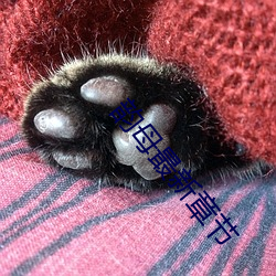 918博天堂·(中国)手机版客户端