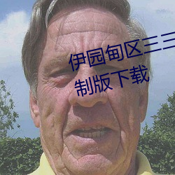 伊园(園)甸区(區)三三(三)三区(區)区区2022无限制版下载