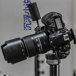 沉(沉)浮小说