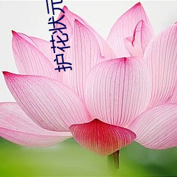 护花状元在现代