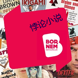 悖(悖)论小(小)说