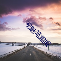 宠魅笔趣阁 （体国经野）