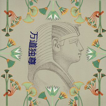 万道独尊 （风行一世）