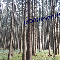 japanesehdtvxx