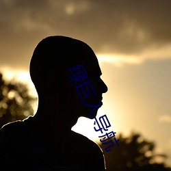綠巨人導航