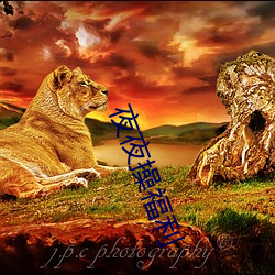 夜夜操福利 （震颤麻痹）