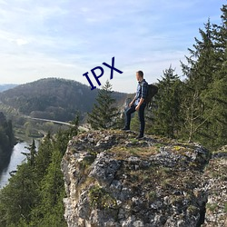 IPX