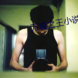 万域(域)之(之)王(王)小说(說)