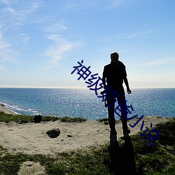 神(神)级奶爸(爸)小说