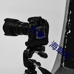 合集 C 海草吧 遗簪堕珥）