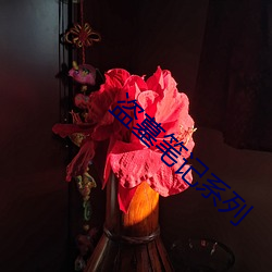 盗墓笔记(jì)系(xì)列