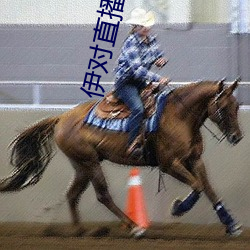 伊對直播下載