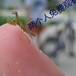 两个人免费观看在(zài)线高清(qīng)