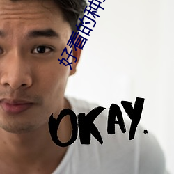 好看的種馬小說