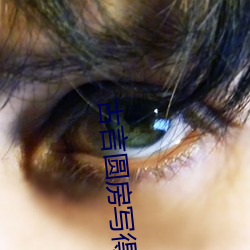 古(古)言(言)圆(圓)房写得很(很)细的(的)