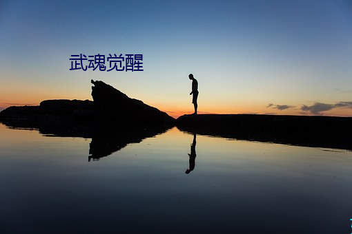 武魂觉醒