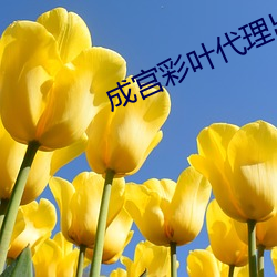 成宫彩叶代(dài)理出(chū)产(chǎn)中文字幕