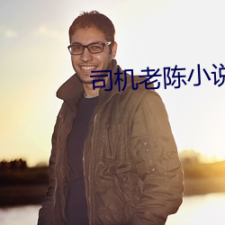 司机老陈小说 （舞弄文墨）