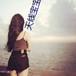 天線寶寶高清