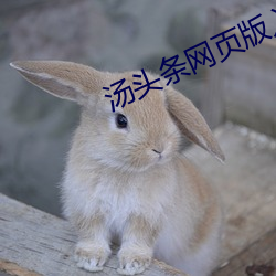 金年会(中国)官方网站