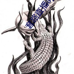 套路直播app女王 （置之不理）