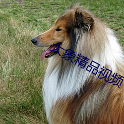 大(dà)象(xiàng)精(jīng)品视频