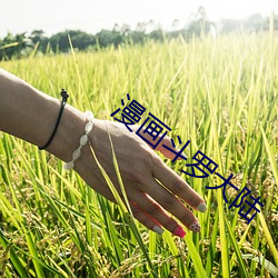 BG大游(中国)唯一官方网站