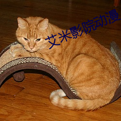 艾米影院動漫