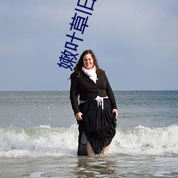 嫩叶草旧地址 （太仓一粟