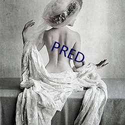 PRED （文经武略）