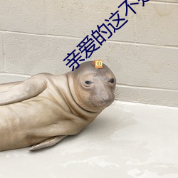 亲爱的这(這)不是(是)爱情